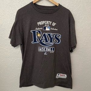 Tampa Rays Mens Short Sleeve Crew Neck T Shirt Gray Authentic Majestic Large